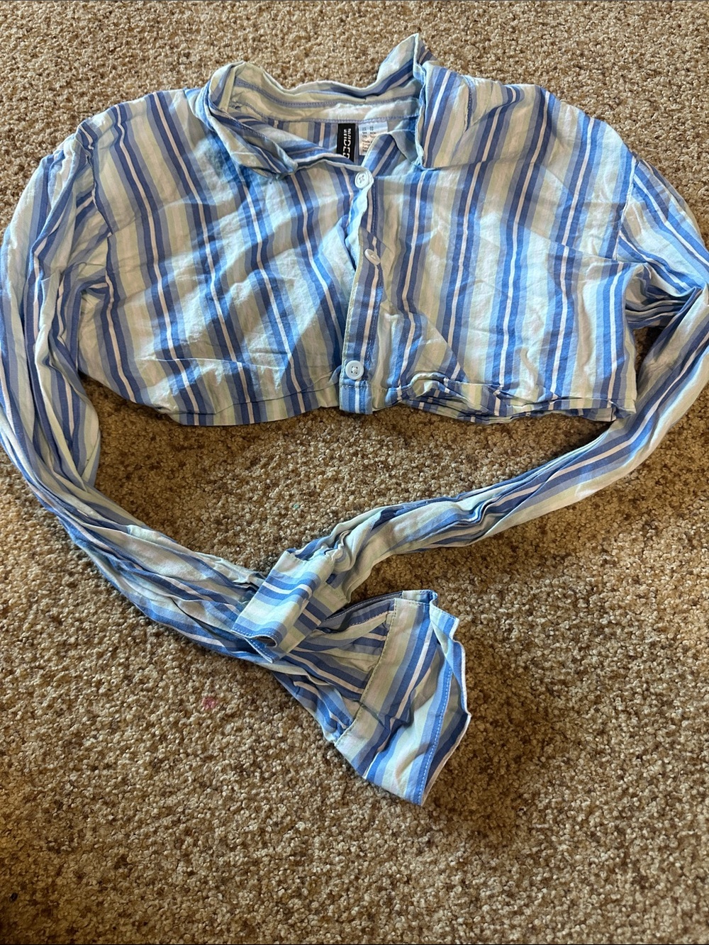 H&M Striped Blue and White Button-Up Shirt